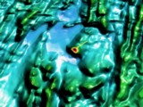 Image 02